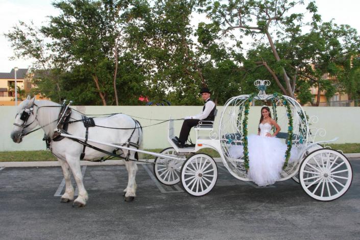 Taylor arriving in her Cinderella Carriage.
