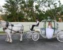 Taylor arriving in her Cinderella Carriage.