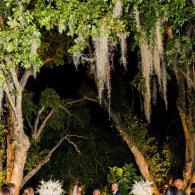 Oak Trees at Killian Palms Country Club